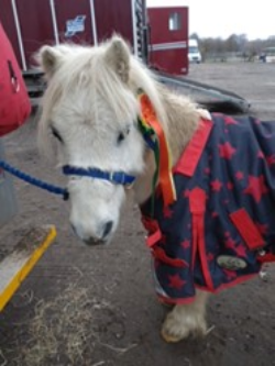 Monty's 1st rosette.jpg